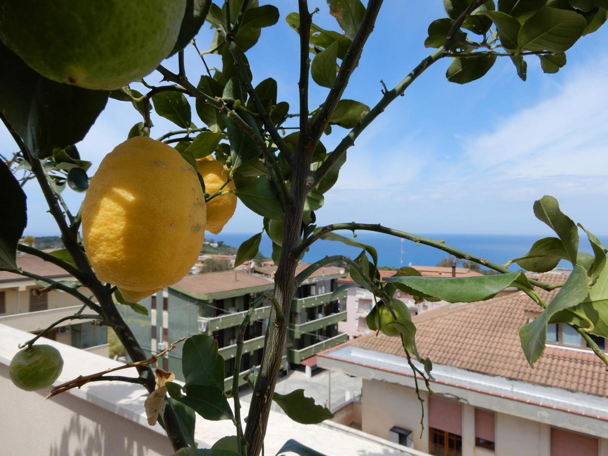 Middle Town Palace Tropea Bagian luar foto